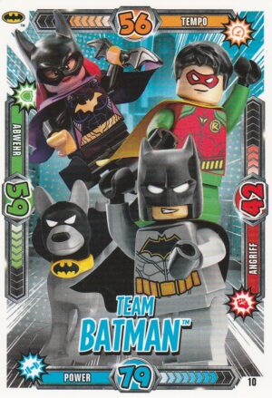 010 Team Batman